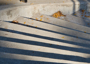 Afternoon Light - image gratuit #483553